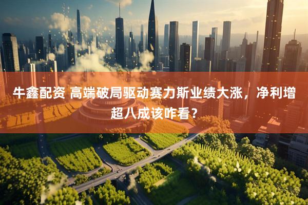 牛鑫配资 高端破局驱动赛力斯业绩大涨，净利增超八成该咋看？