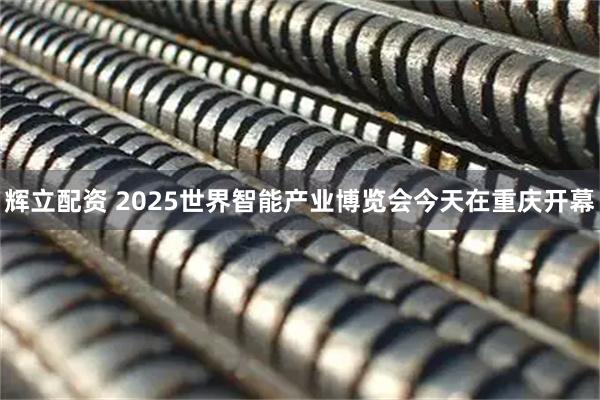 辉立配资 2025世界智能产业博览会今天在重庆开幕