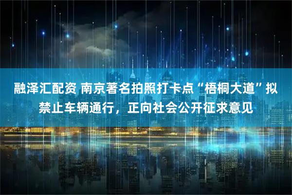 融泽汇配资 南京著名拍照打卡点“梧桐大道”拟禁止车辆通行，正向社会公开征求意见