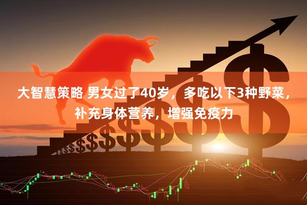 大智慧策略 男女过了40岁，多吃以下3种野菜，补充身体营养，增强免疫力