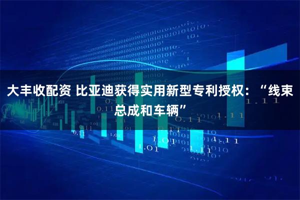 大丰收配资 比亚迪获得实用新型专利授权:“线束总成和车辆”
